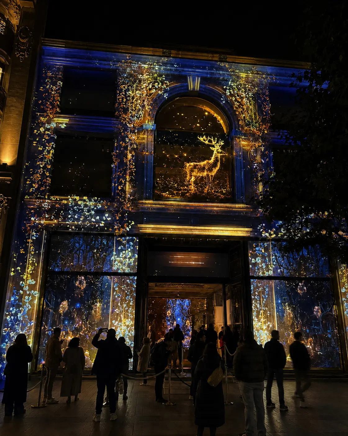 Mapping vidéo événementiel — scénographie immersive et projection