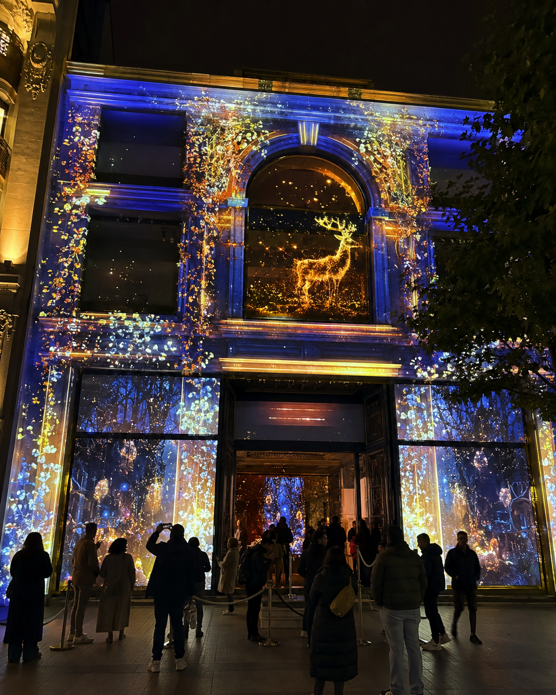 Mapping vidéo sur décor immersif et projection lumineuse